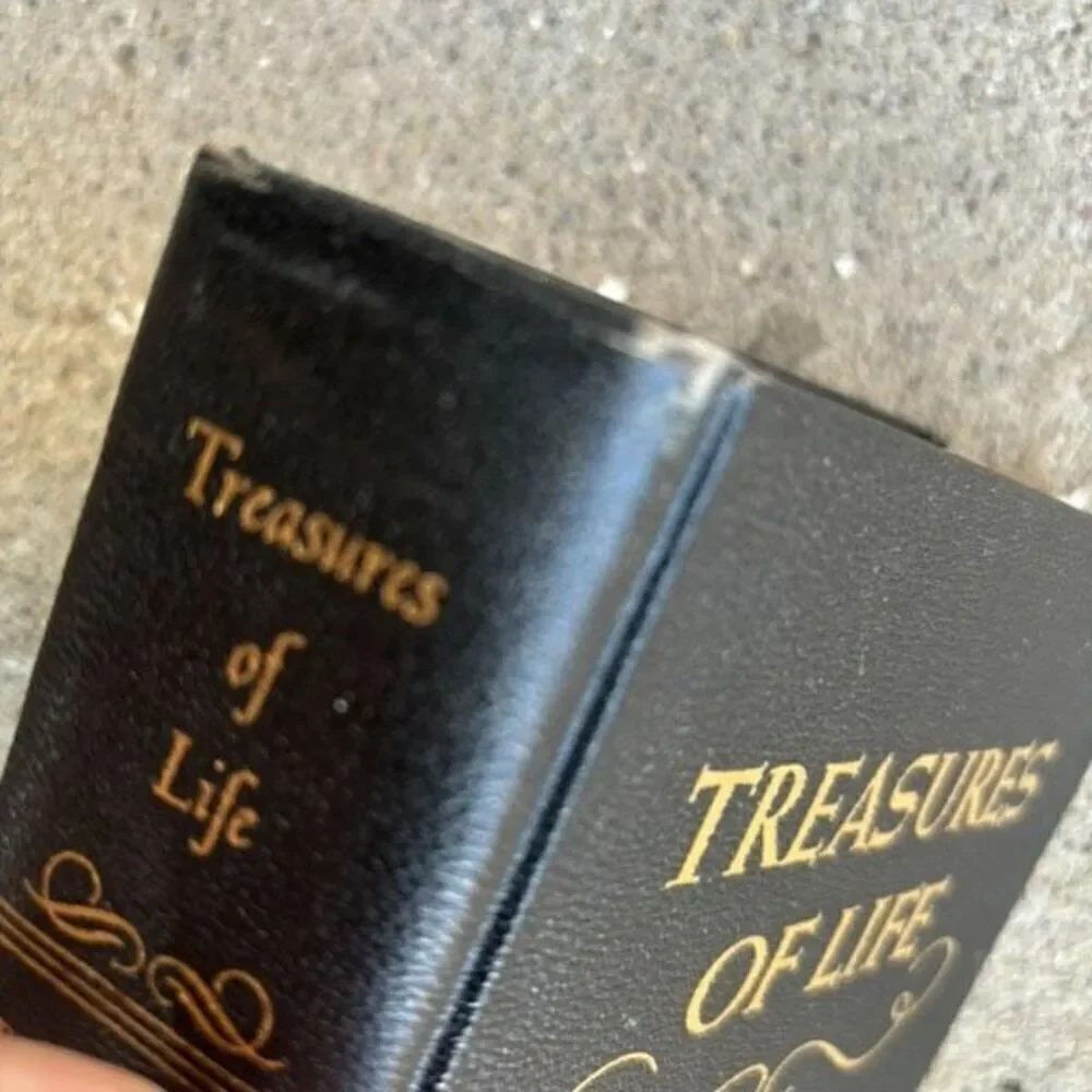 Treasures Of Life Patriarchs And Prophets The Bible Story For All People